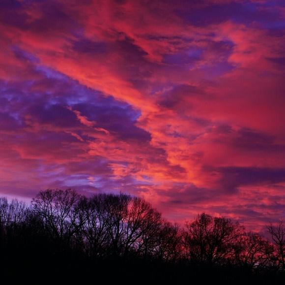 Meet your Posher, Lisa - Picture 1 of 1